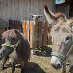 Klawunn & Kaprun