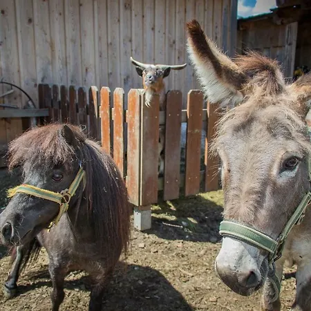 Klawunn & Kaprun